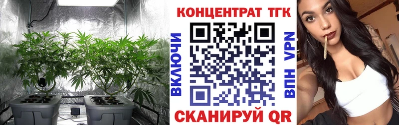 Дистиллят ТГК концентрат  darknet телеграм  Яранск 