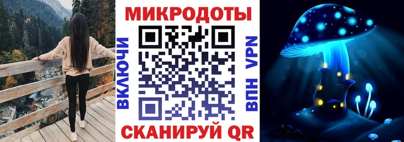 закладки  Яранск  Галлюциногенные грибы прущие грибы 